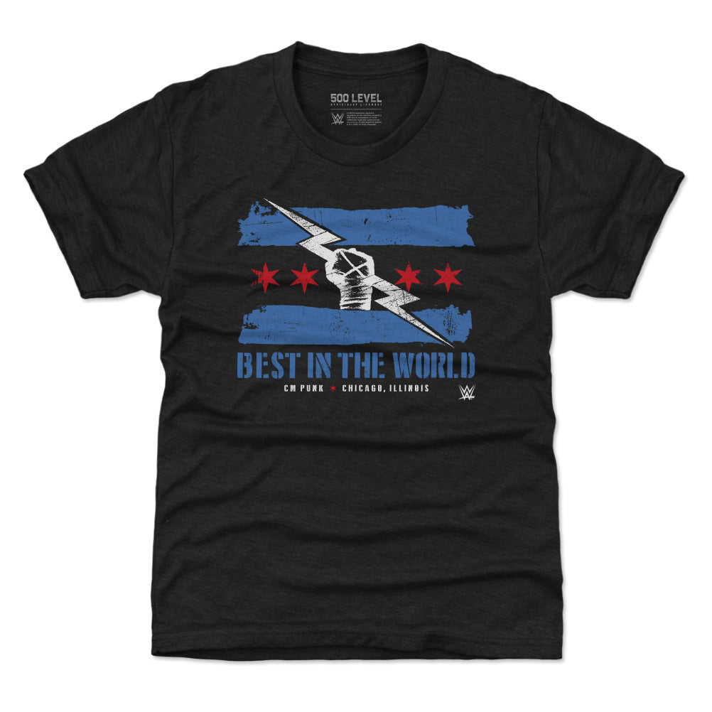 CM Punk Logo Flag WHT