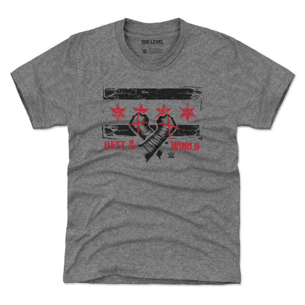 CM Punk Chicago Flag WHT